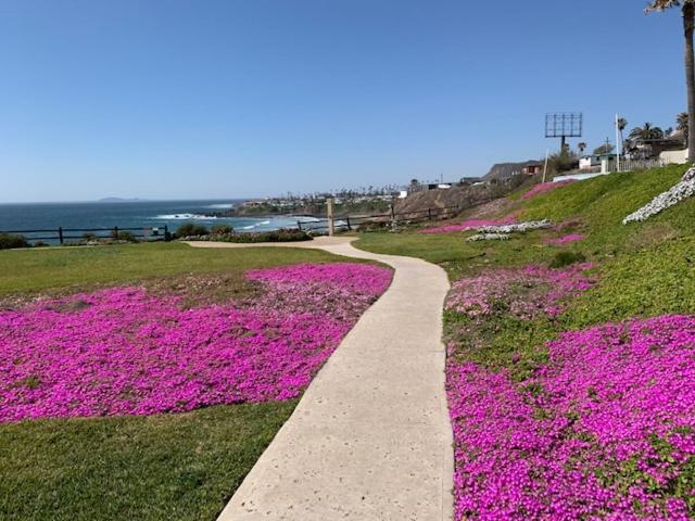 Beachfront Condo W Pools Steps To Beach & Mins To Dt Rosarito Buitenkant foto
