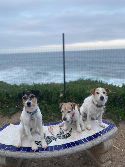 Beachfront Condo W Pools Steps To Beach & Mins To Dt Rosarito Buitenkant foto